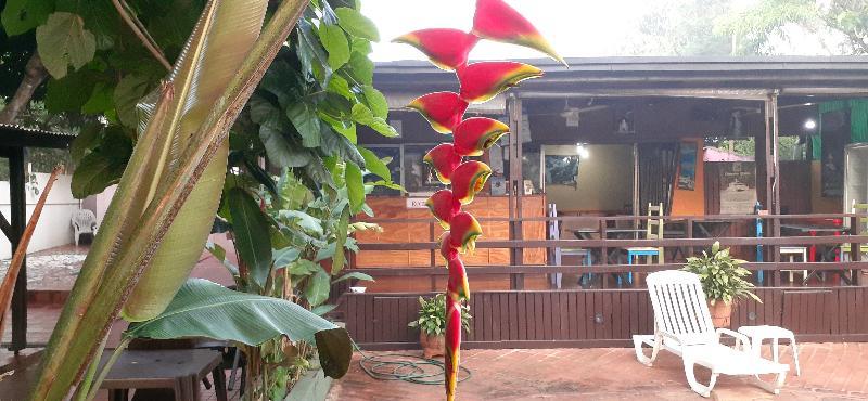 Residencial Noelia Hostel Puerto Iguazu Ngoại thất bức ảnh